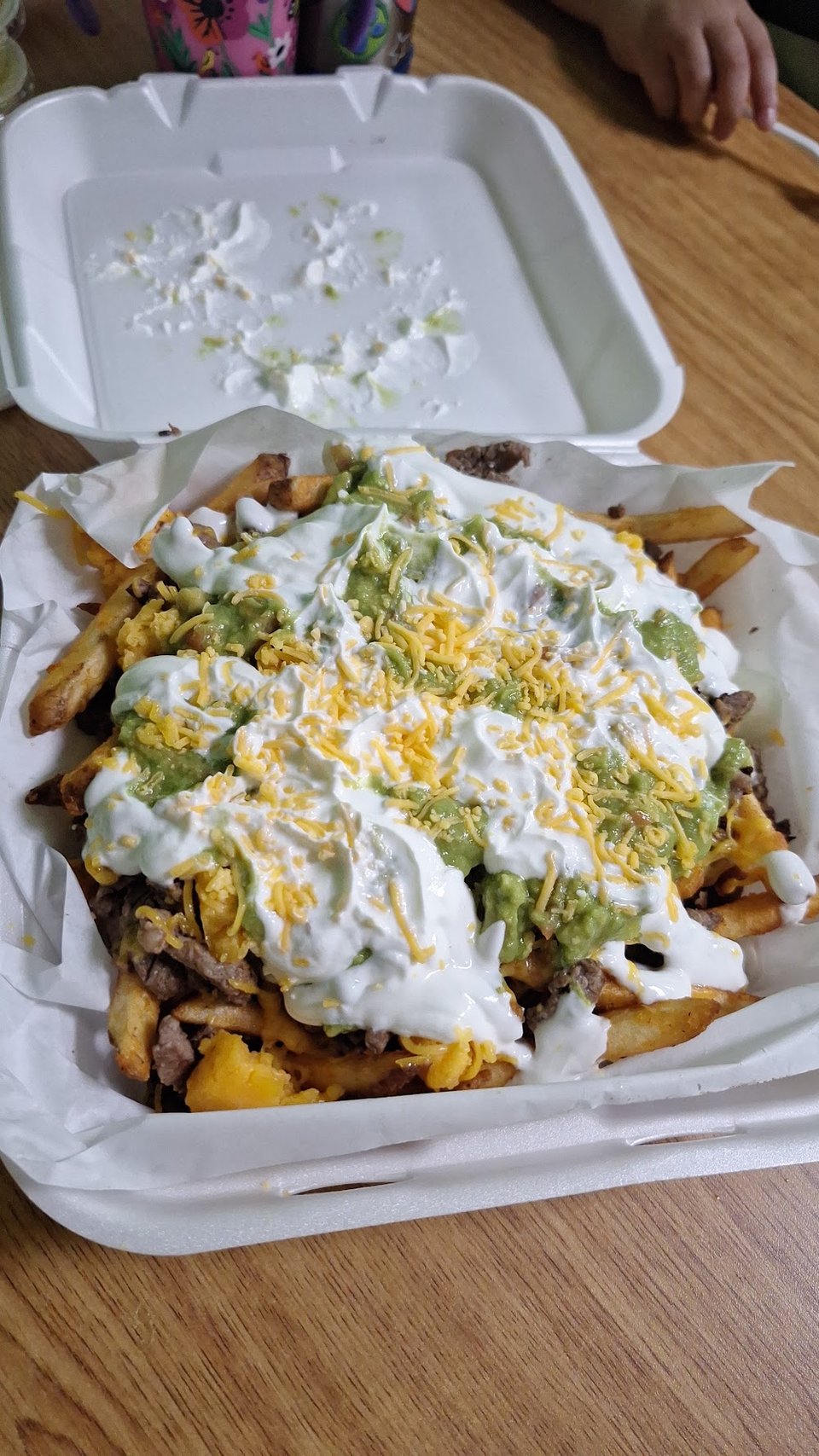 Carne Asada Fries